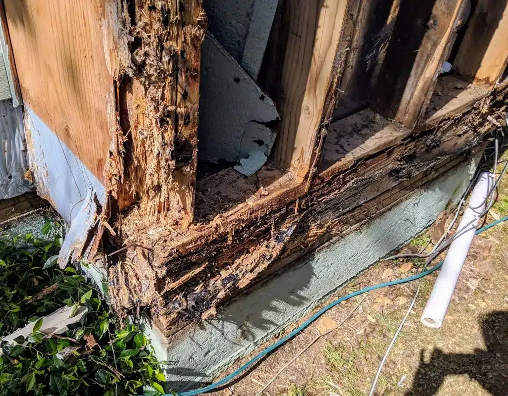 Can You Sell a House With Termite Damage Georgia